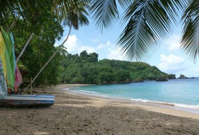 CA London lectures spring 2026 no 1 Beach in Tobago, Caribbean starting point for Going South