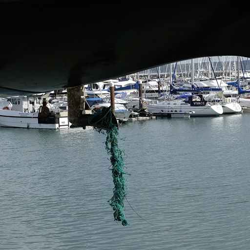 Lobster Pot Campaign