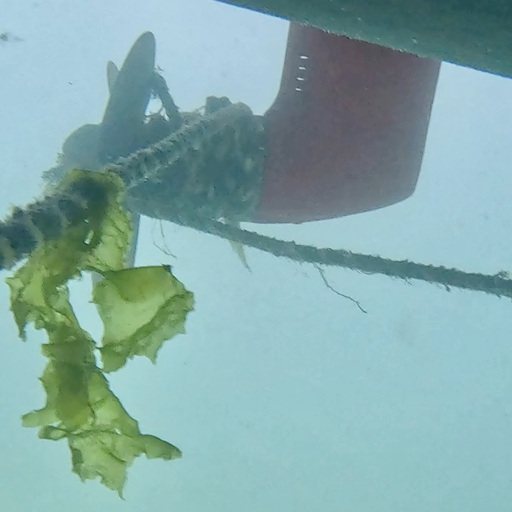 Lobster Pot Campaign