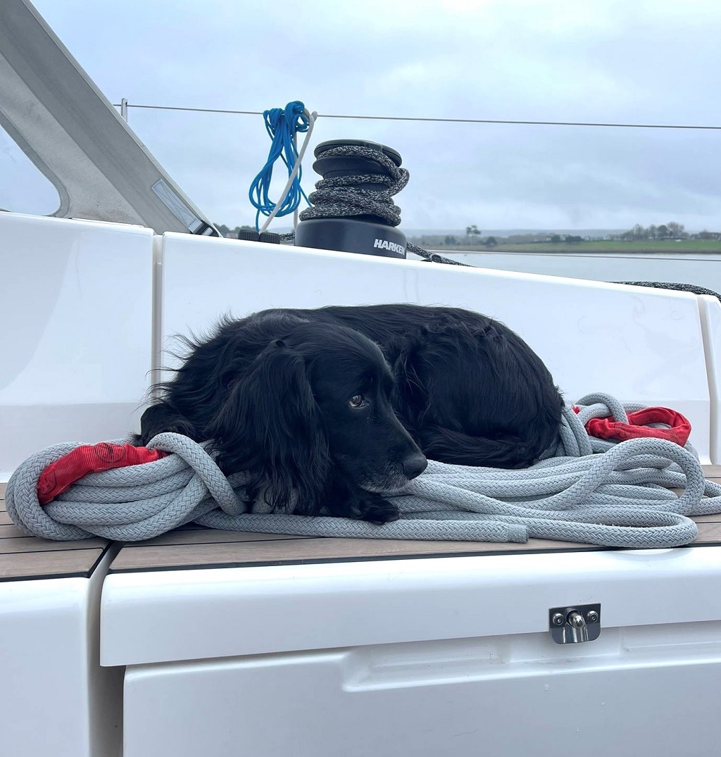 Sailing with pets: what you need to know, talk at An Evening with RATS