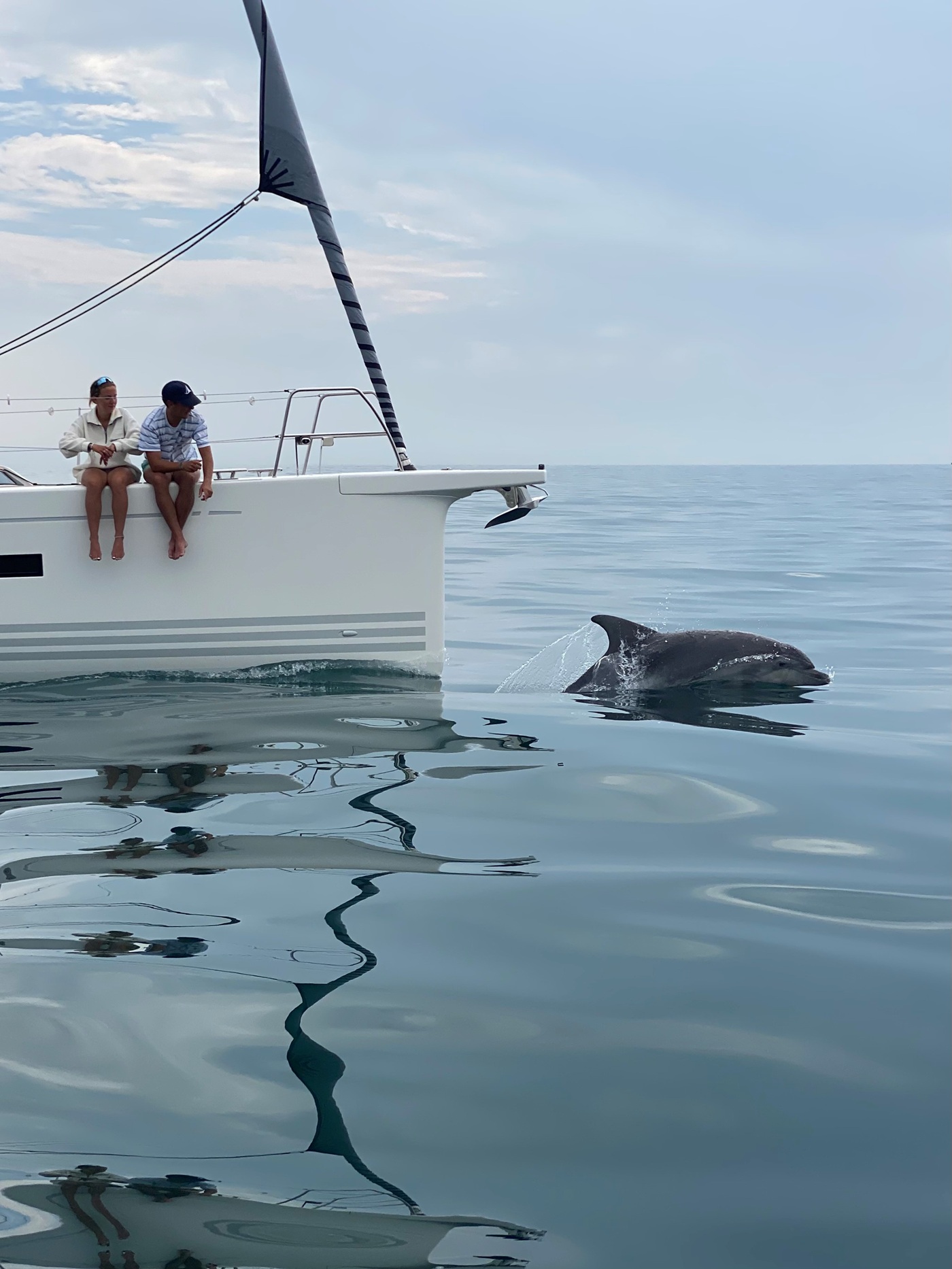 Dolphins off St Alban’s Head, Dorset, UK