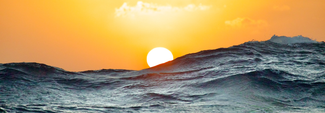 Winners of the CA's 2024 Log competition