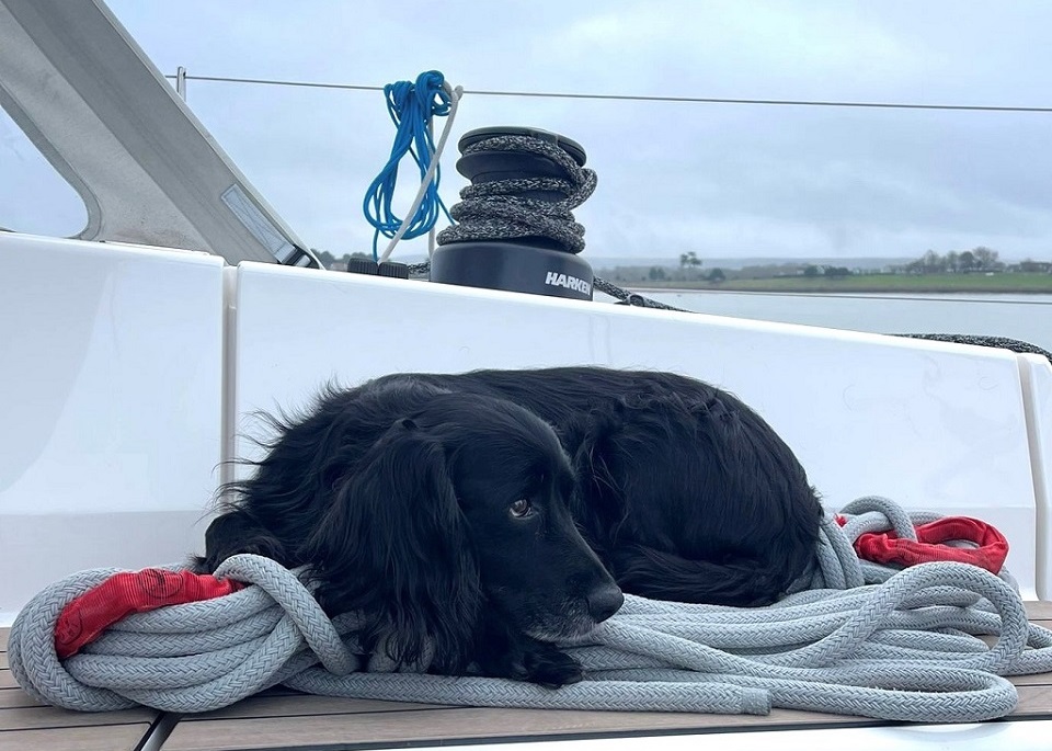 CA talk: Travelling with pets: get the latest on travelling with pets from Great Britain to the EU by Tania Nieveen on The Boating Academy Stage at the Southampton International Boat Show